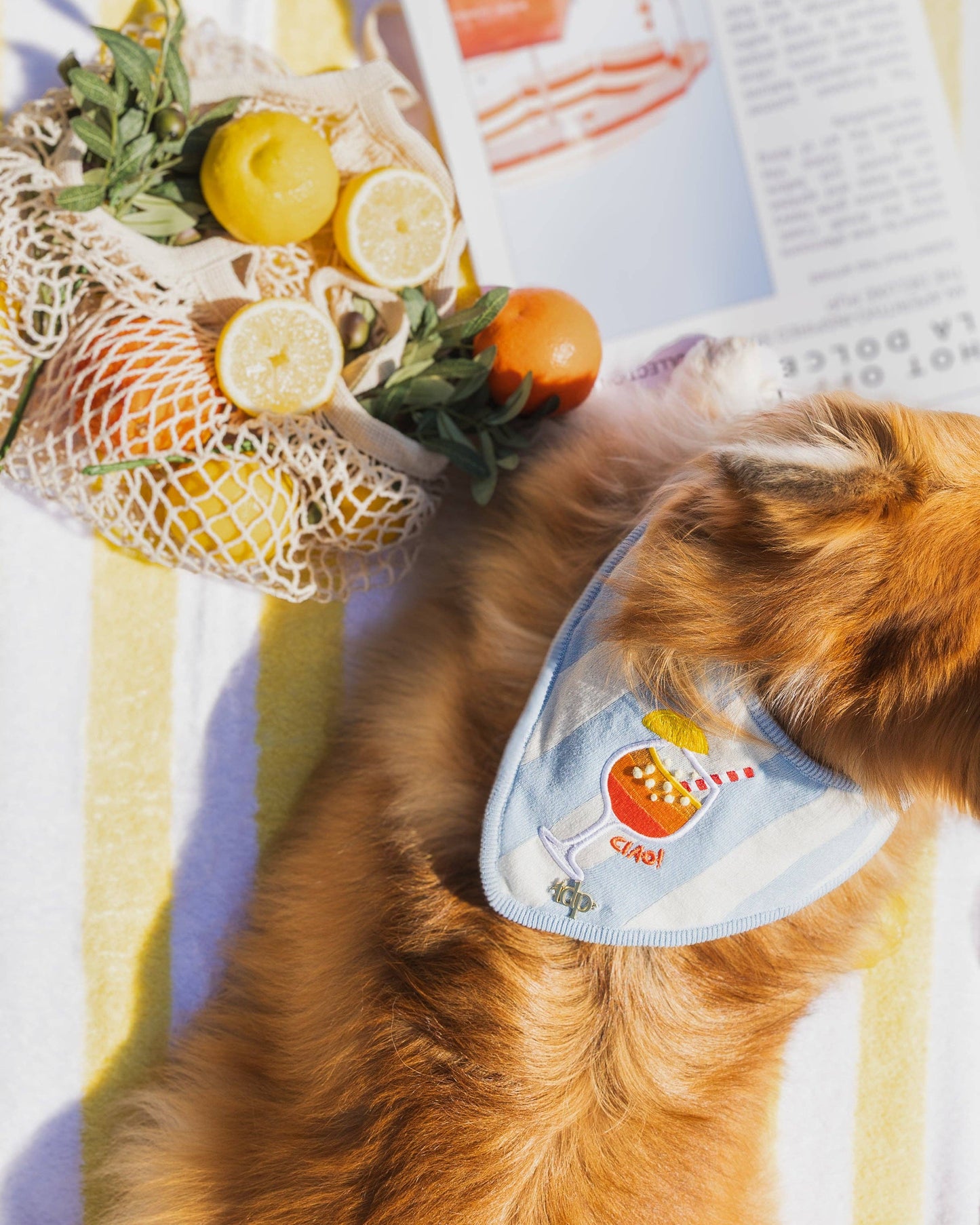 Bandana | Spritz & Streifen