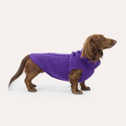 Weibchen Hundestrickpullover