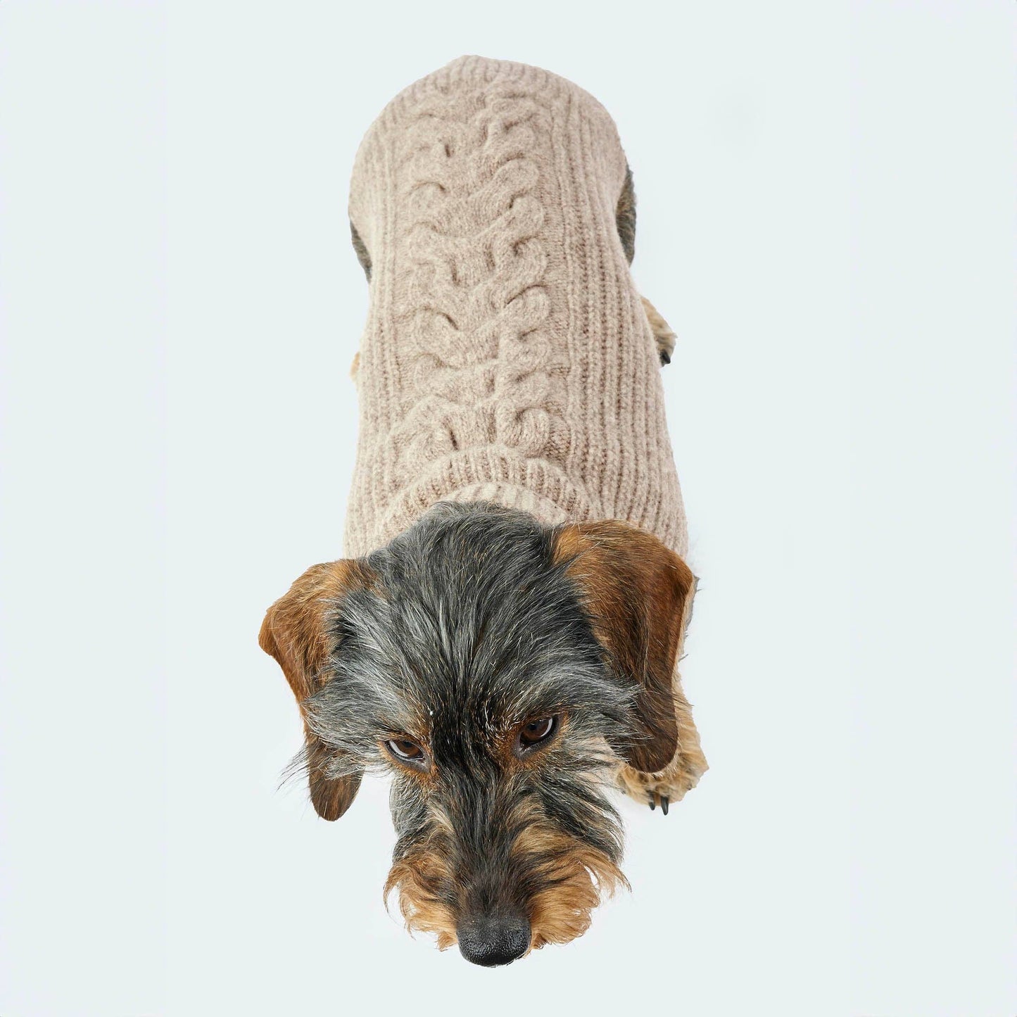 Hundestrickpullover taupe