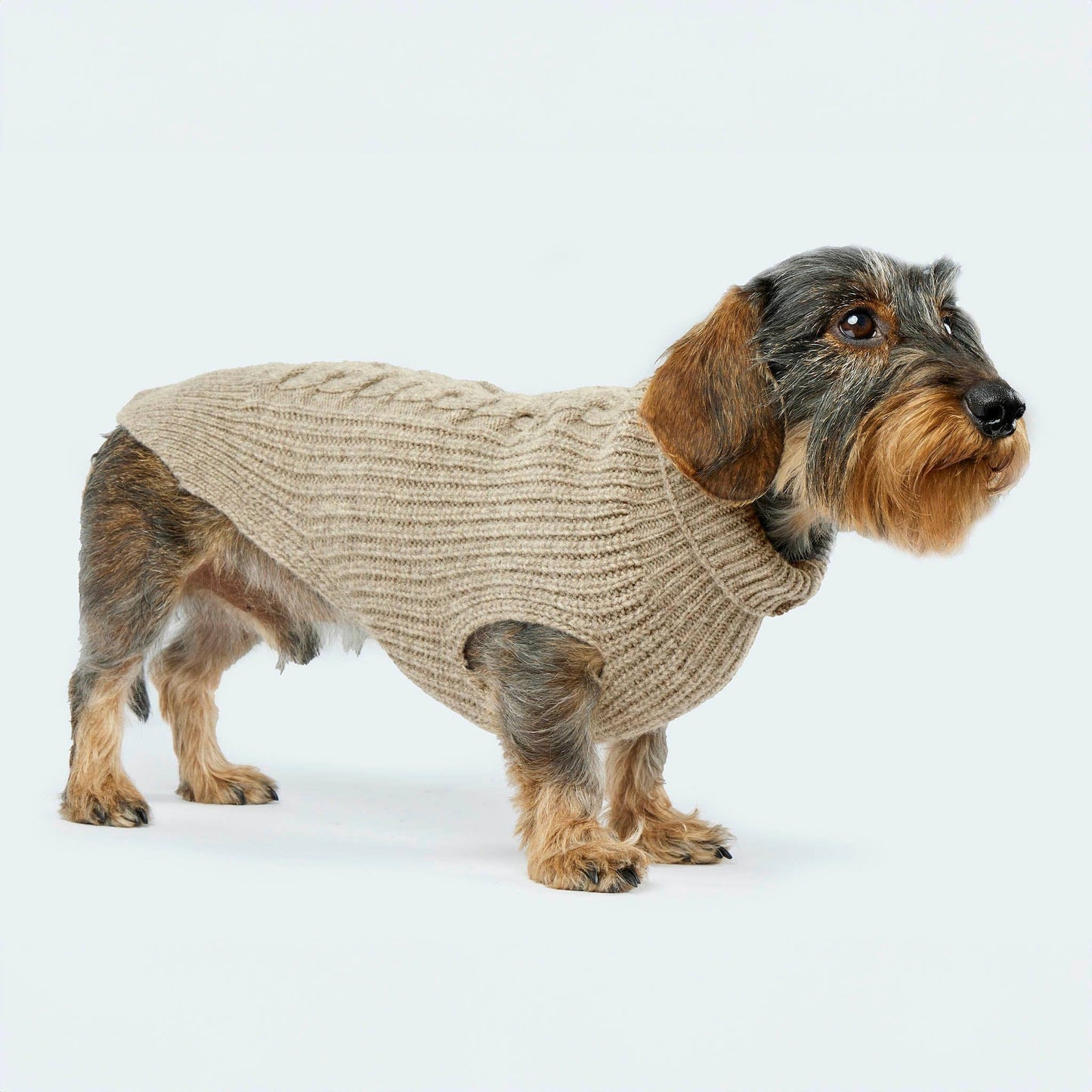 Hundestrickpullover taupe