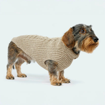 Hundestrickpullover taupe