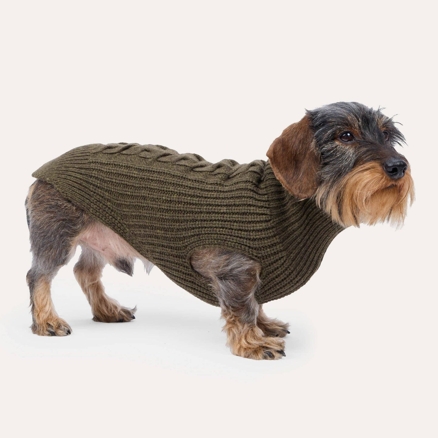 Hundestrickpullover oliv