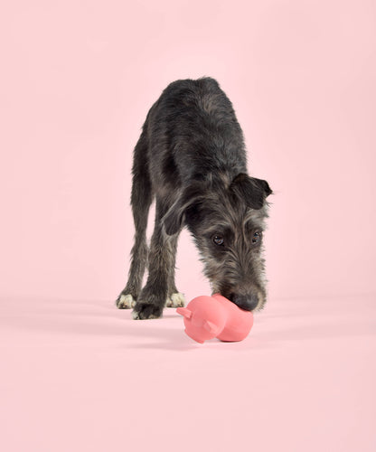 Latexspielzeug für Hunde und Katzen in süßer Schweineform