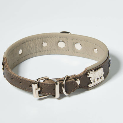 Hundehalsband Kühe Motiv