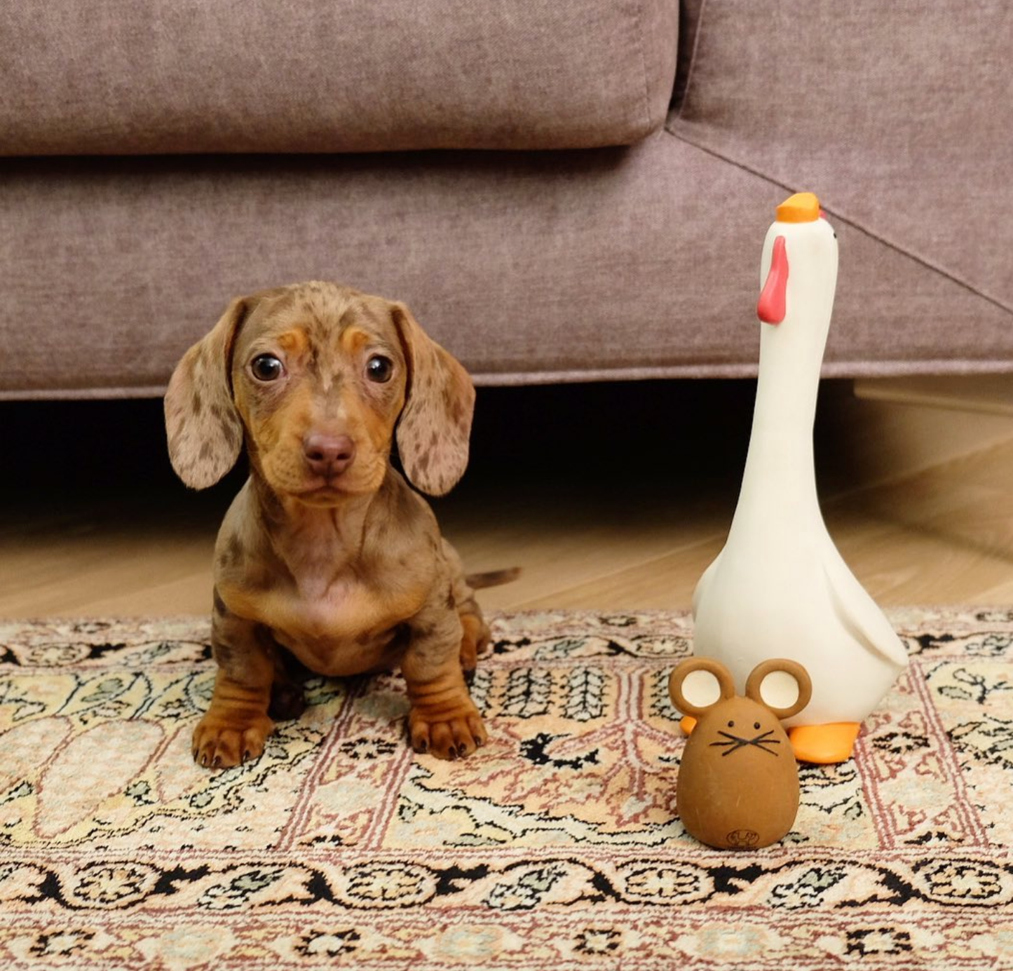 Tato Latexspielzeug für Hunde und Katzen