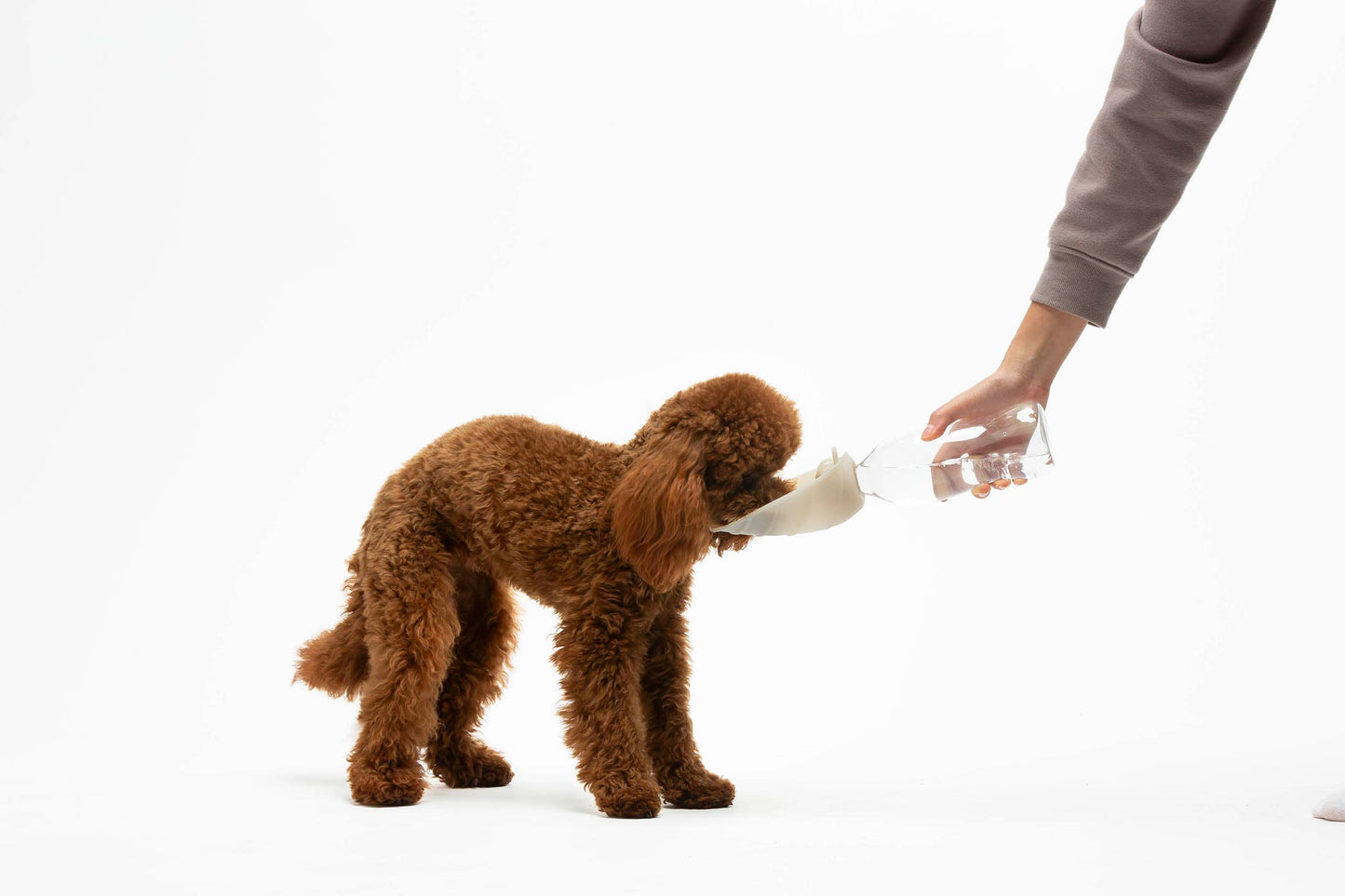 Universaler Wasserspender mit Tropfstoppventil