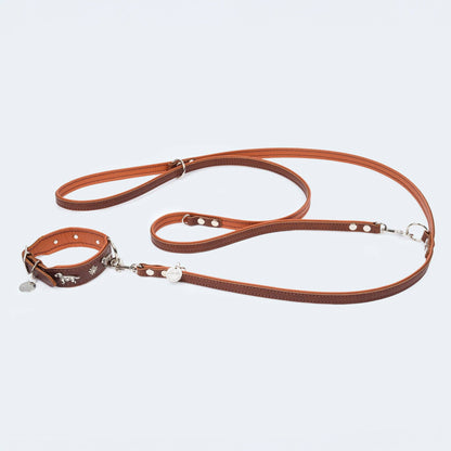 Hundehalsband Leder Dackel dunkelbraun/ cognac
