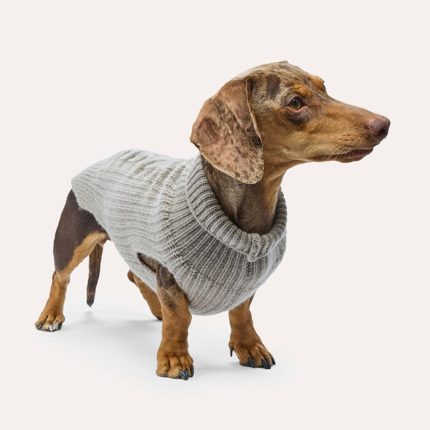 Cashmere Hundestrickpullover