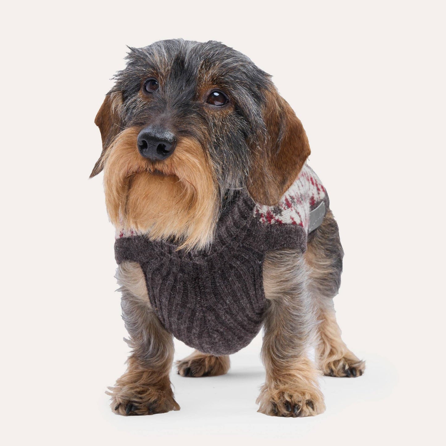 Hundestrickpullover Karo