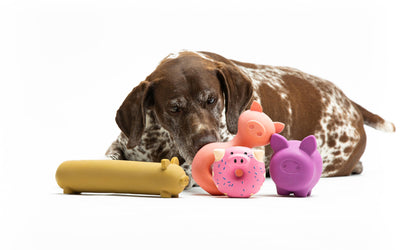 Latexspielzeug in Schweineform für Hunde und Katzen