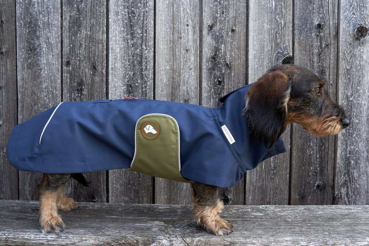 Dackel-Regenmantel Cooper in Navy Blau