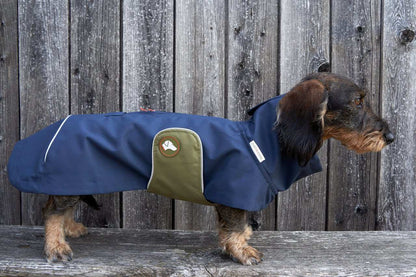 Dackel-Regenmantel Cooper in Navy Blau