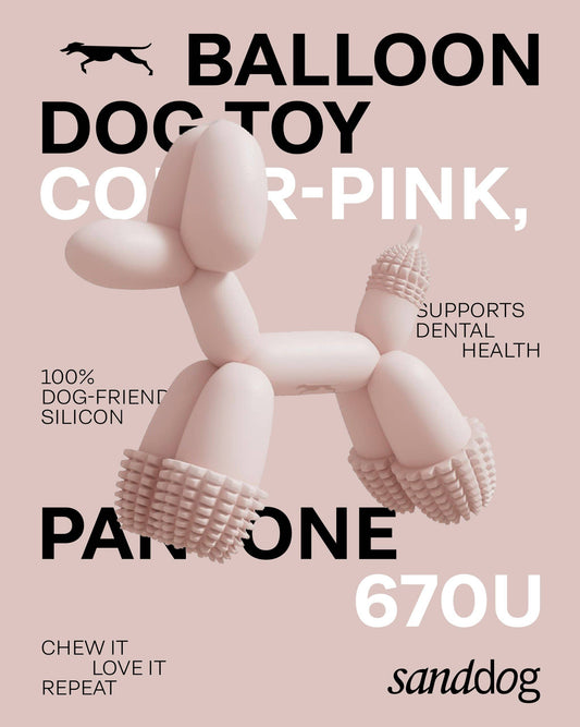 HUNDE-SPIELZEUG | KUNST-BALLON | ROSA | SANDDOG