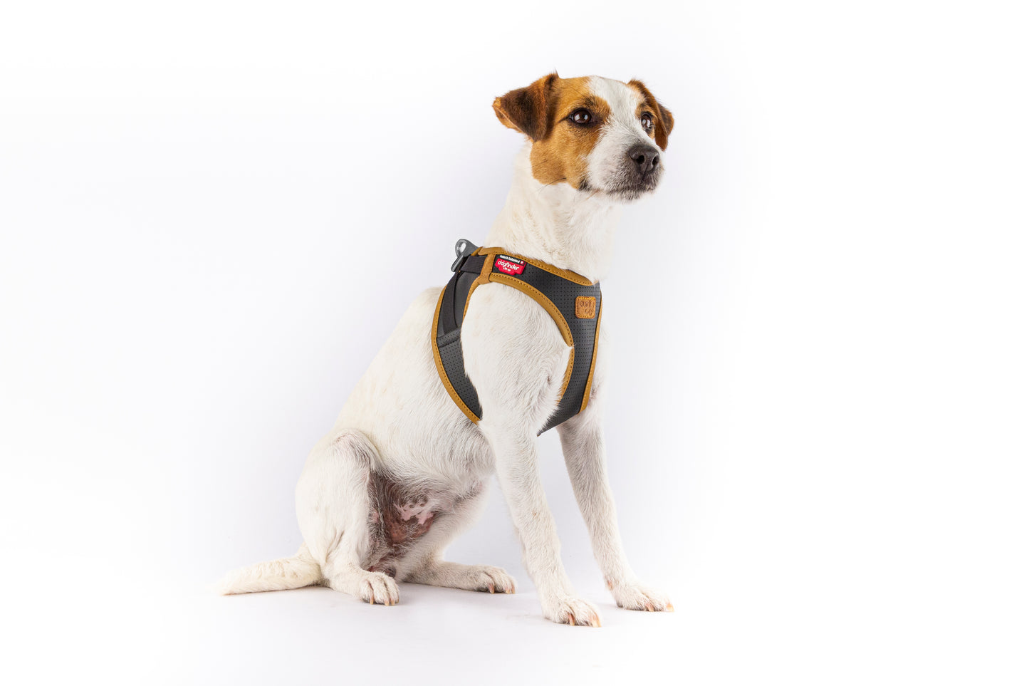 Apple Leather Clasp Vest Hundegeschirr – Farbe Braun