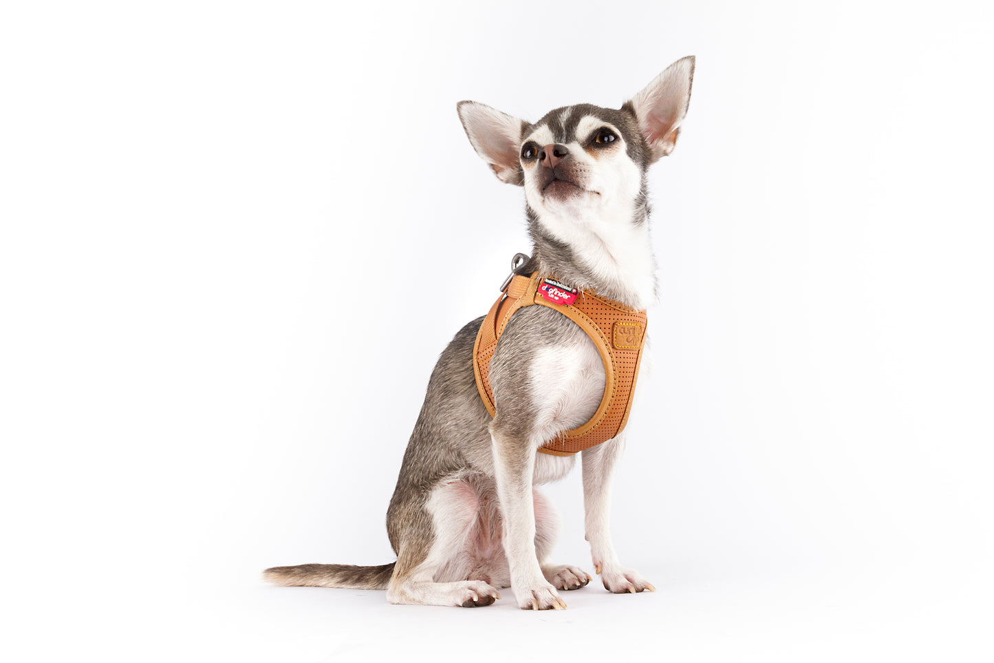 Apple Leather Clasp Vest Hundegeschirr – Farbe Braun