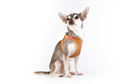 Apple Leather Clasp Vest Hundegeschirr – Farbe Braun