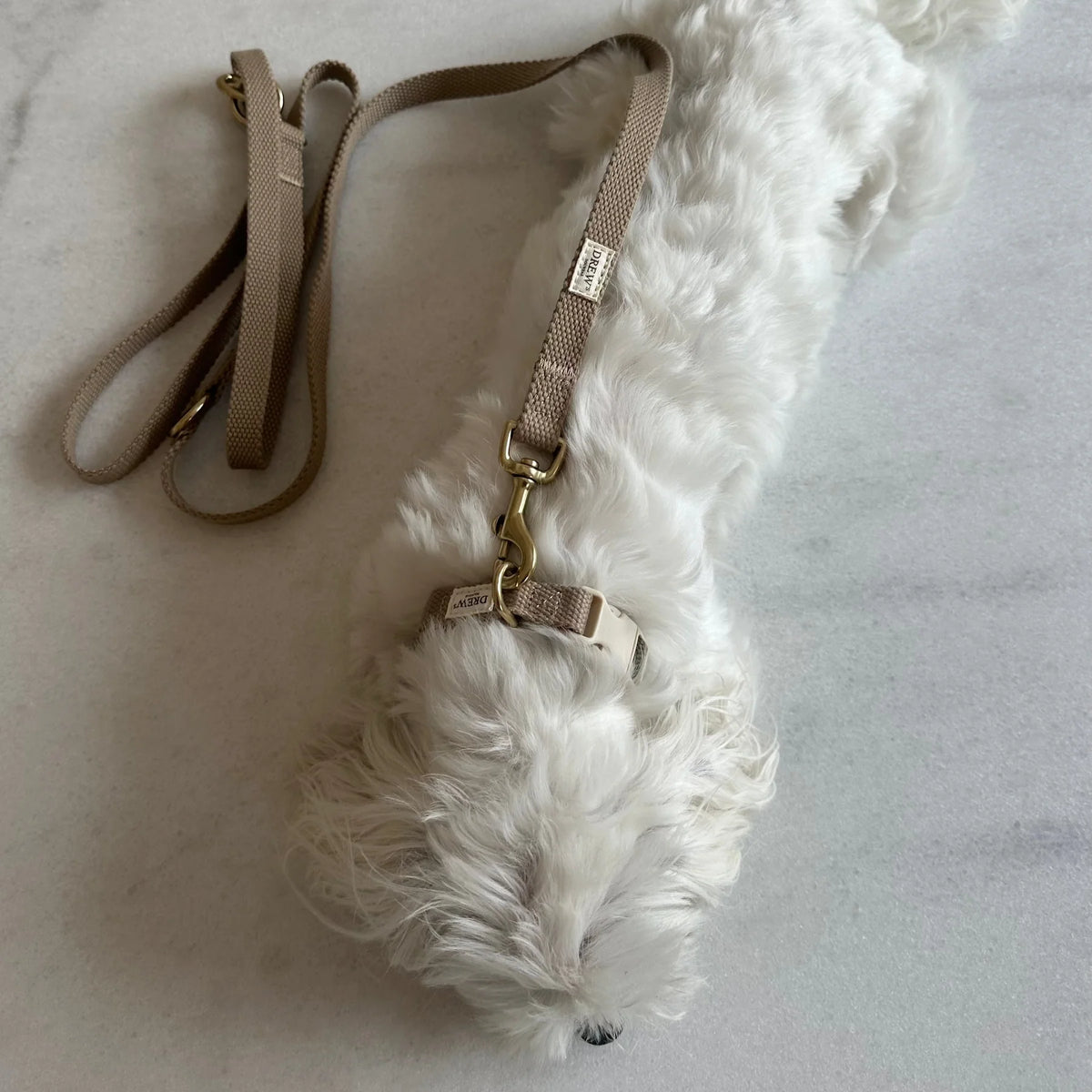 Adjustable Hundeleine – Farbe Beige