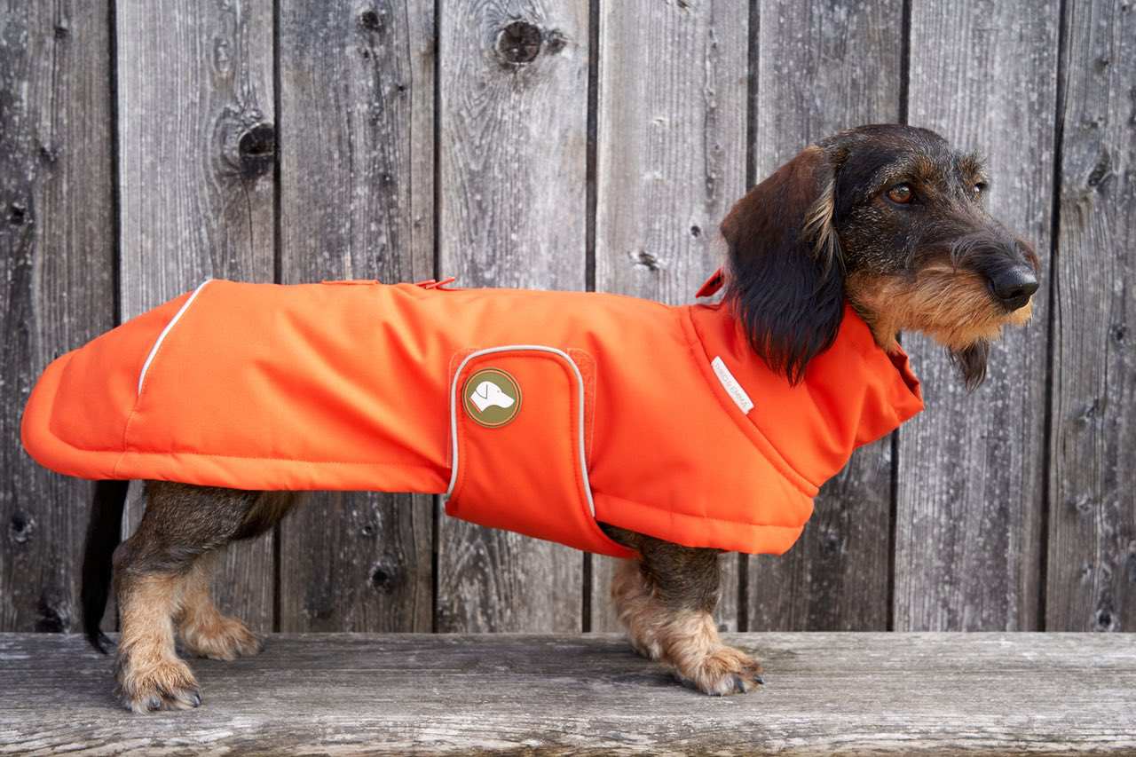 Dackel-Wintermantel Oskar in Pumpkin Orange: Orange / 4 | 44-49cm