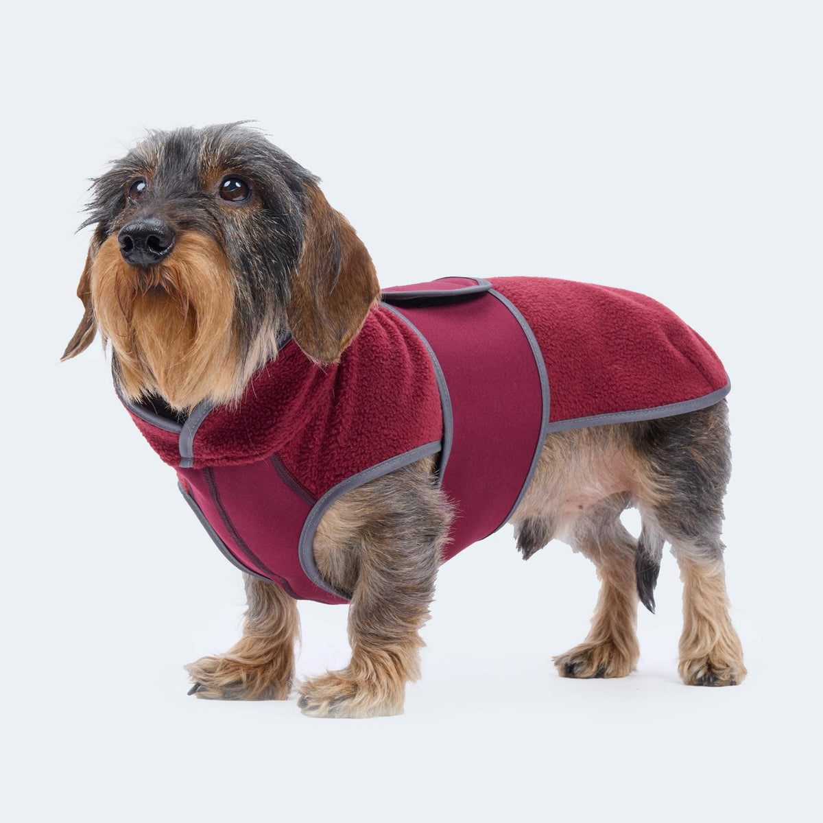 Hundemantel Dackel Fleece bordeaux