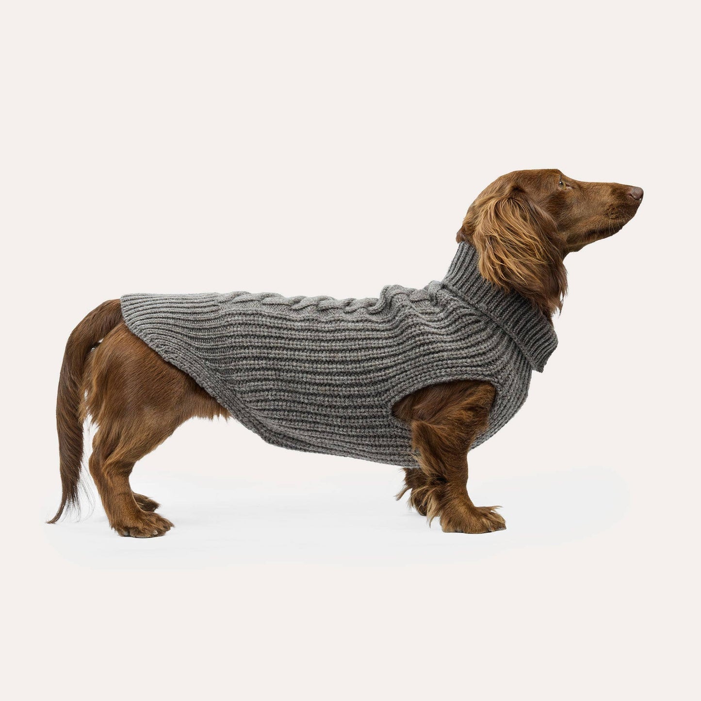 Weibchen Hundestrickpullover