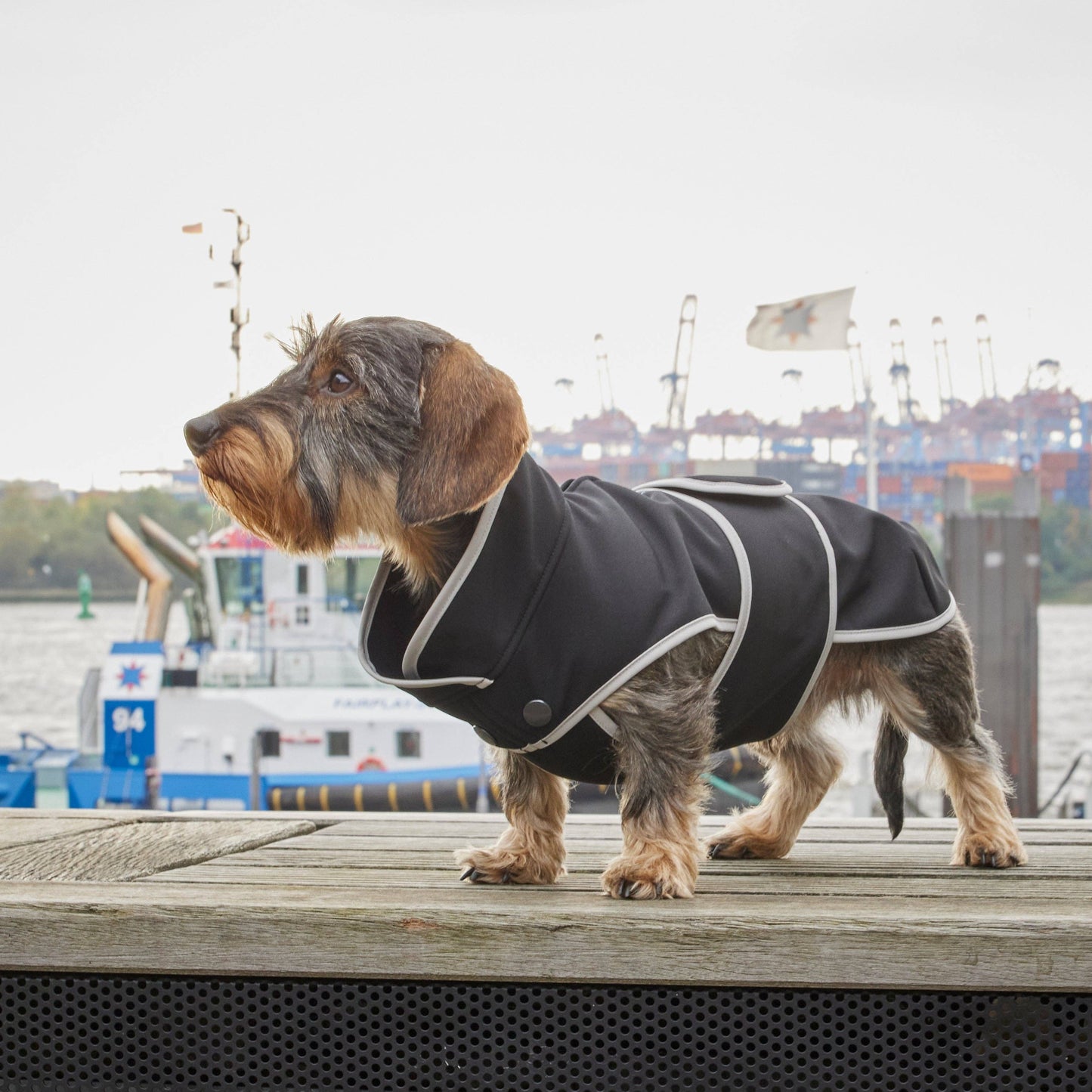 Hundemantel Dackel Softshell Handarbeit