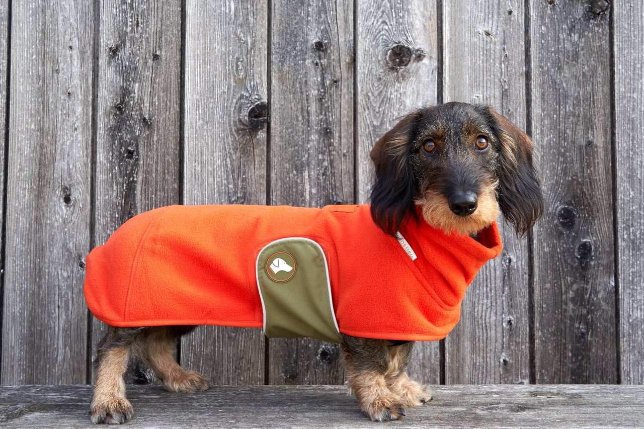 Fleece Dackelpullover Henry in Pumpkin Orange