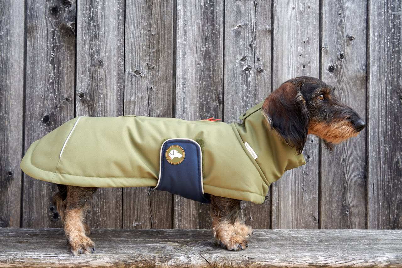 Dackel-Wintermantel Oskar in Oliv: Oliv / 2 | 34-38cm