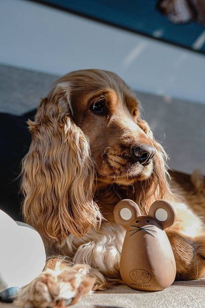 Tato Latexspielzeug für Hunde und Katzen