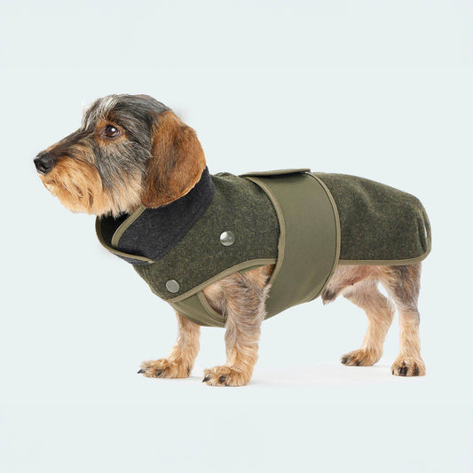 Lodenmantel mit ausknöpfbarem Fleece für Dackel und kleine Hunde