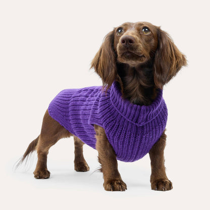 Weibchen Hundestrickpullover