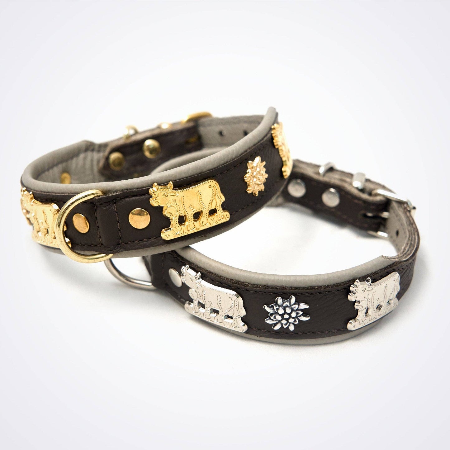 Hundehalsband Kühe Motiv