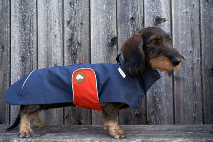 Dackel-Regenmantel Cooper in Navy Blau