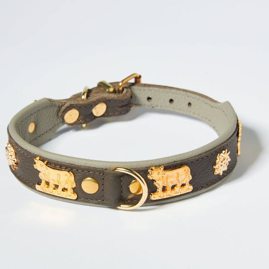 Hundehalsband Kühe Motiv