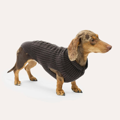 Cashmere Hundestrickpullover