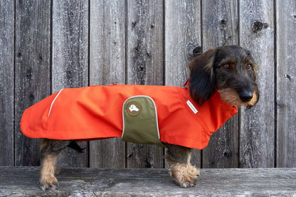 Dackel-Regenmantel Cooper in Pumpkin Orange