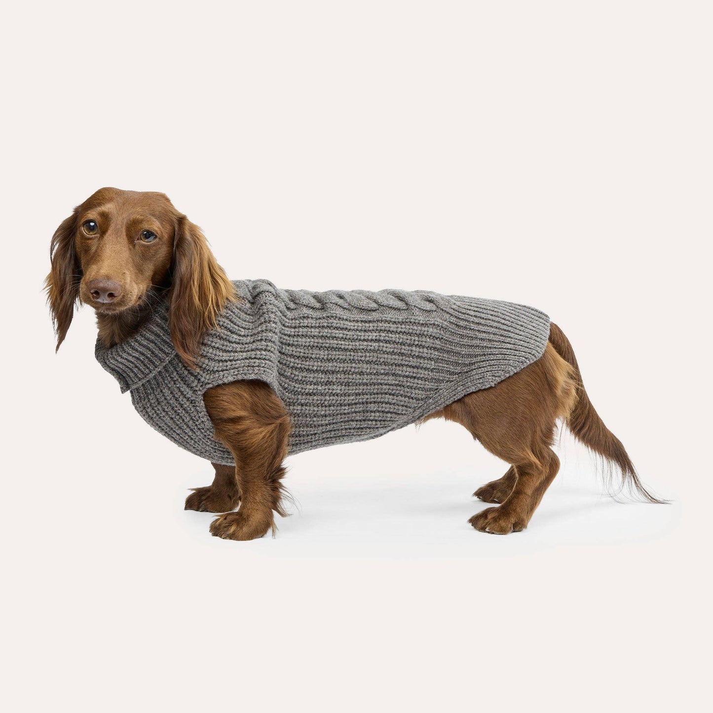 Weibchen Hundestrickpullover