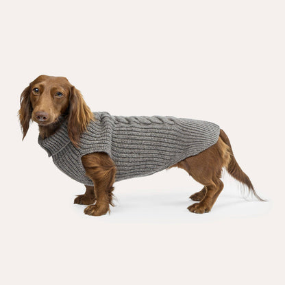Weibchen Hundestrickpullover