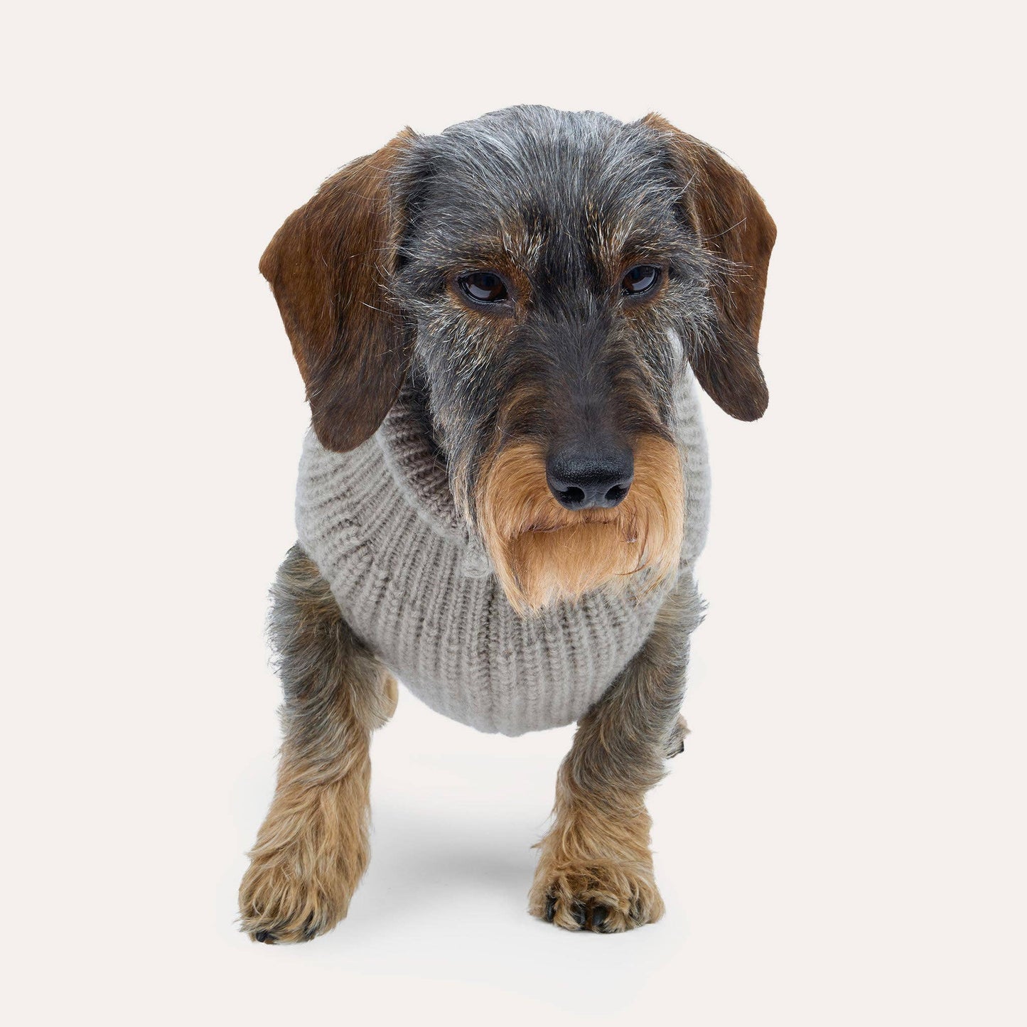 Cashmere Hundestrickpullover