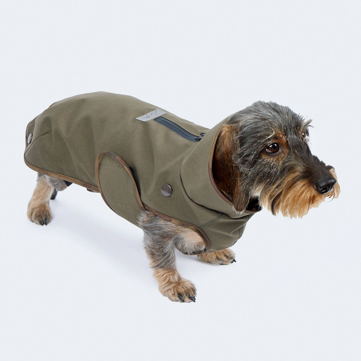 Hunderegenmantel Parka oliv