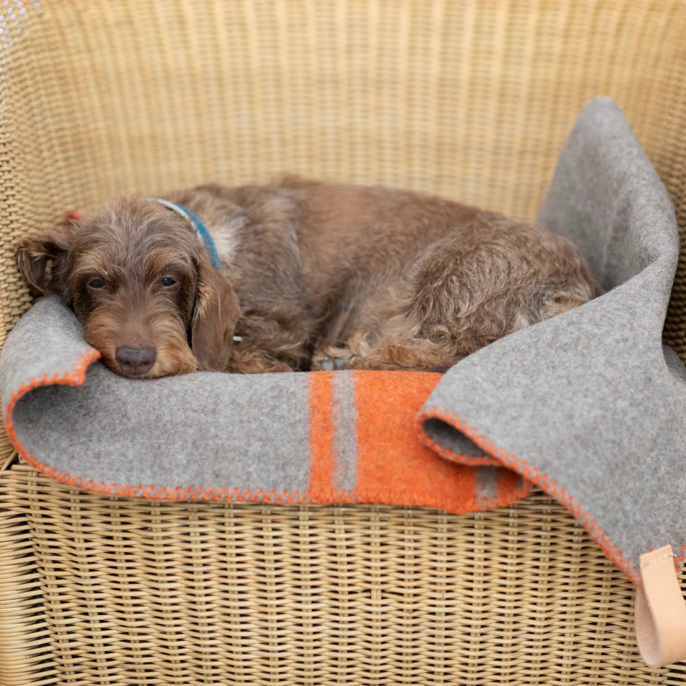 Ansel Hundedecke aus recycelter Wolle - Natur/Orange