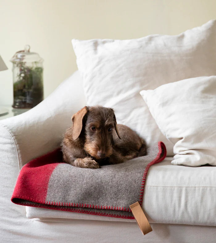 Ansel Hundedecke aus recycelter Wolle - Natur/Rot