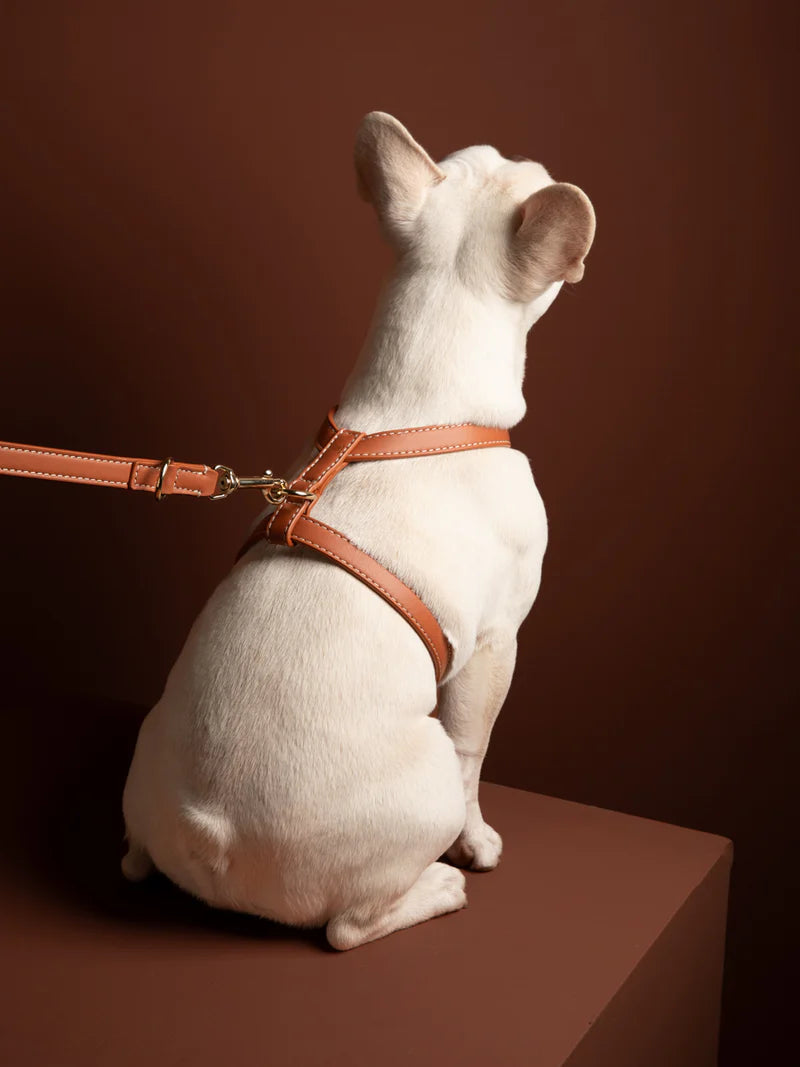 Gabriele H-förmiges Hundegeschirr aus Leder - Braun