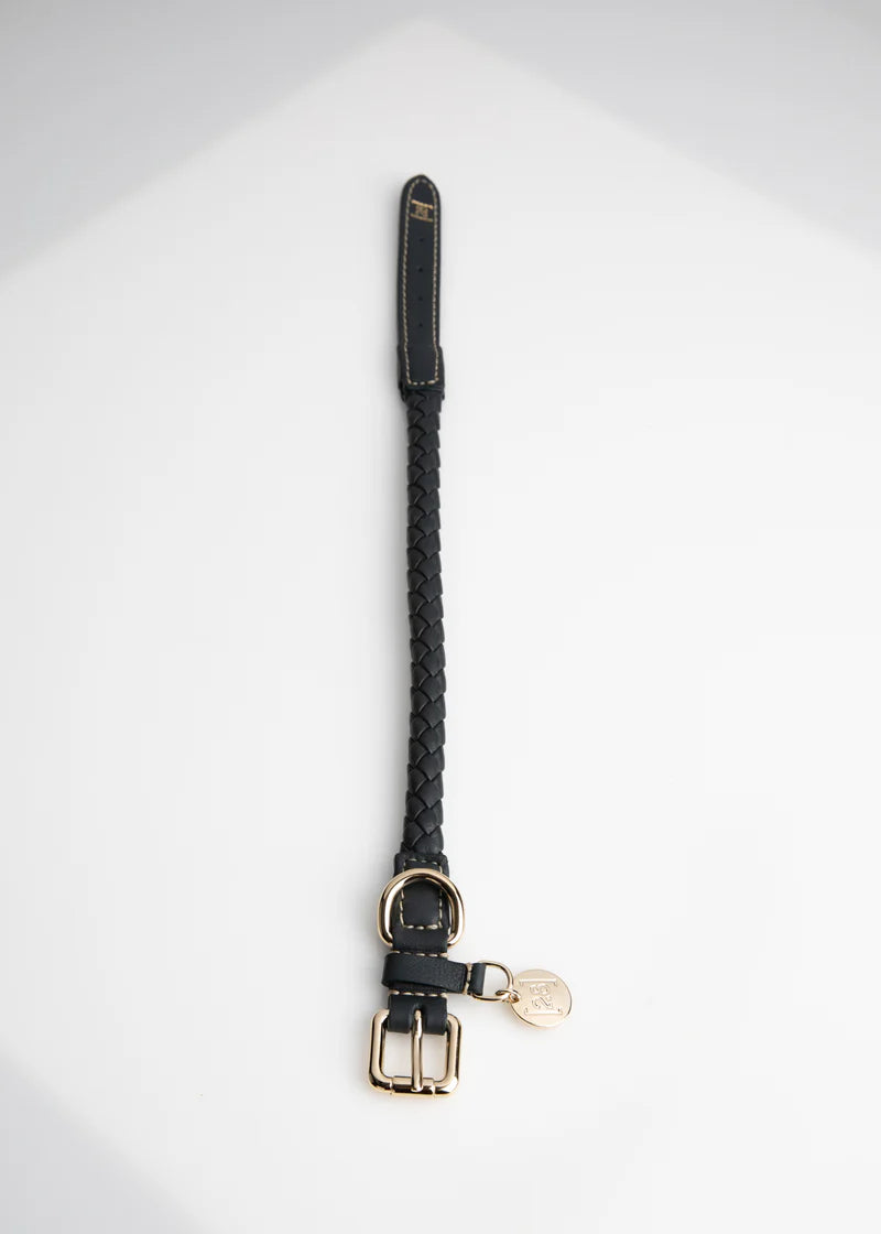 Ferdinando Geflochtenes Hundehalsband aus Leder -  Shark