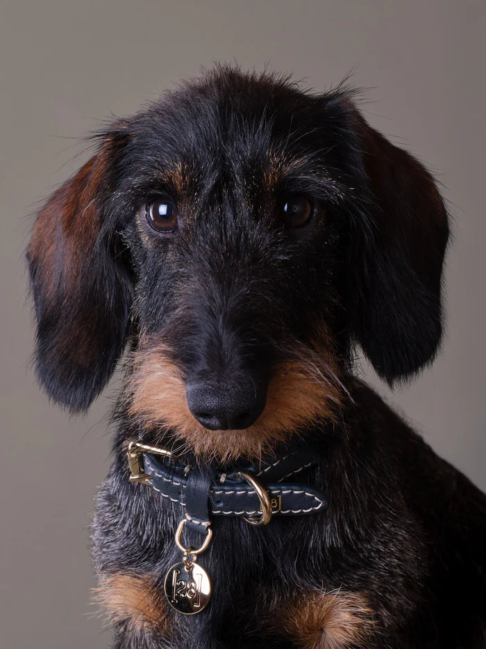 Ferdinando Geflochtenes Hundehalsband aus Leder -  Shark