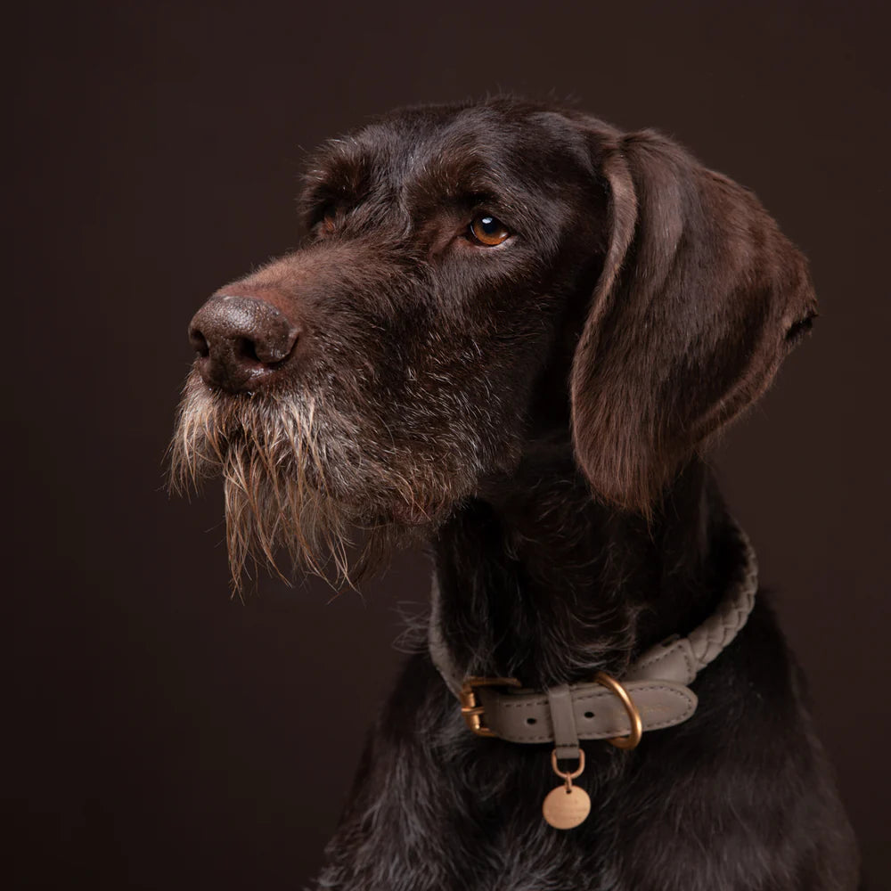 Ferdinando Geflochtenes Hundehalsband aus Leder - Taupe