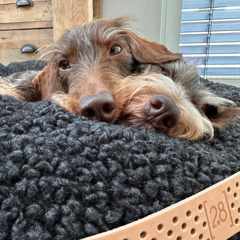 Fulvio Hundebett aus Bouclé / Wolle - Anthrazit