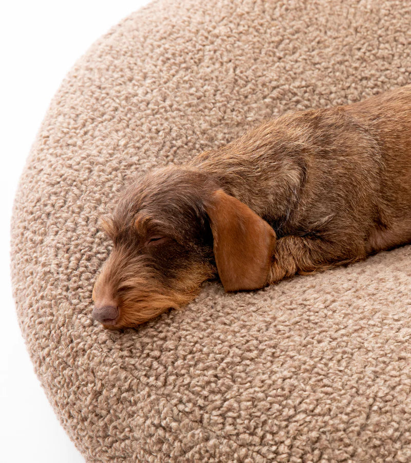 Fulvio Hundebett aus Bouclé / Wolle - Natur