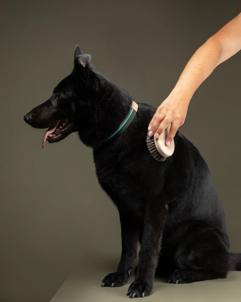 Lee Hundebürste - Long Hair