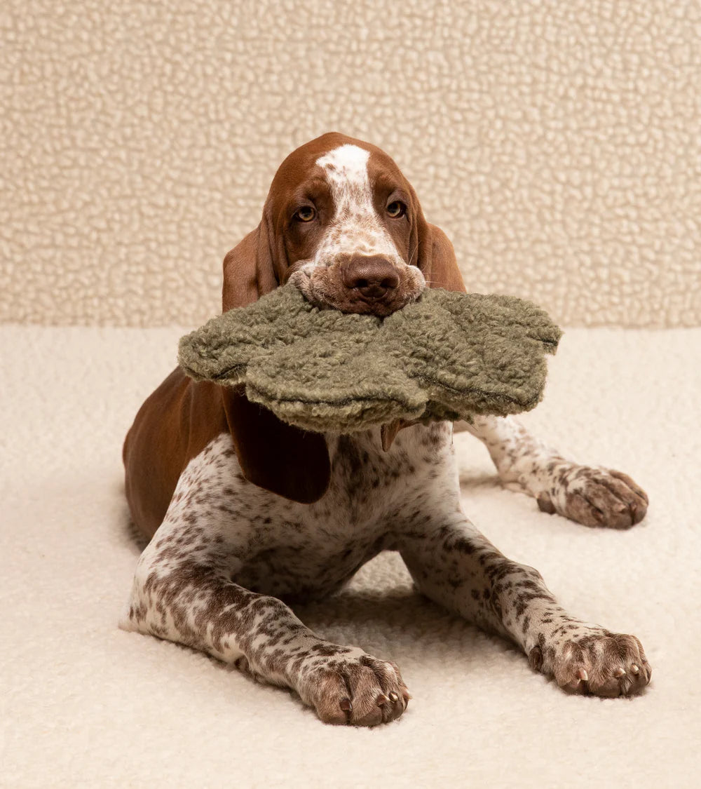 Mimmo Hundespielzeug „Feige“ - Pistazie