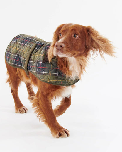 Tartan Gesteppter Hundemantel – Farbe Tartan